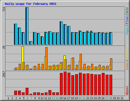 Daily usage for February 2021