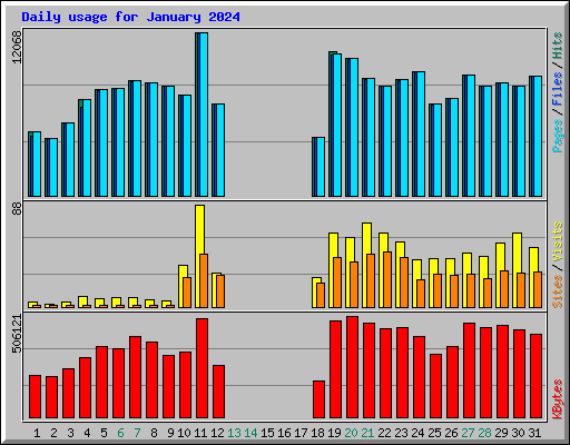 Daily usage for January 2024