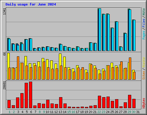 Daily usage for June 2024