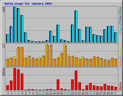 Daily usage for January 2026