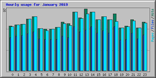Hourly usage for January 2019