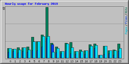 Hourly usage for February 2019