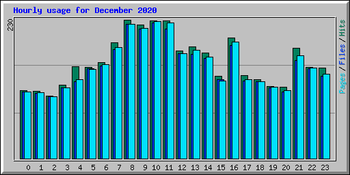 Hourly usage for December 2020