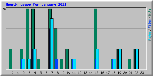 Hourly usage for January 2021