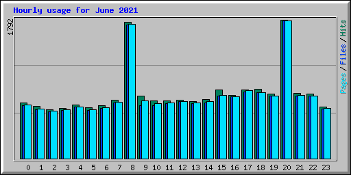 Hourly usage for June 2021