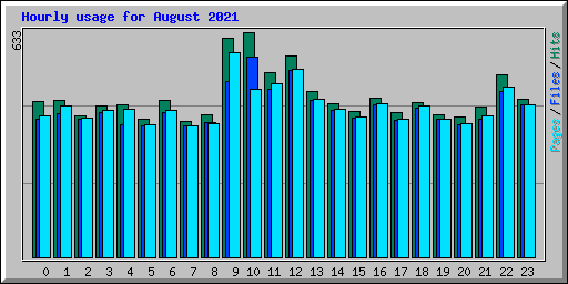 Hourly usage for August 2021