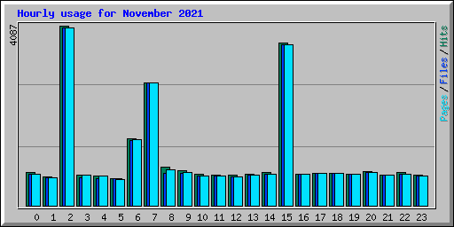 Hourly usage for November 2021