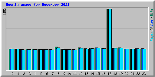 Hourly usage for December 2021
