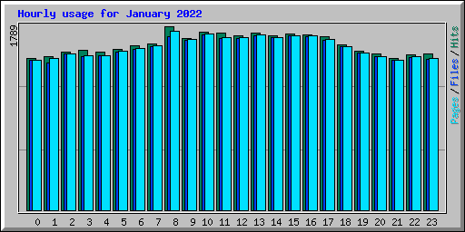 Hourly usage for January 2022