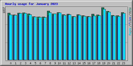 Hourly usage for January 2023