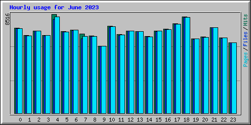 Hourly usage for June 2023