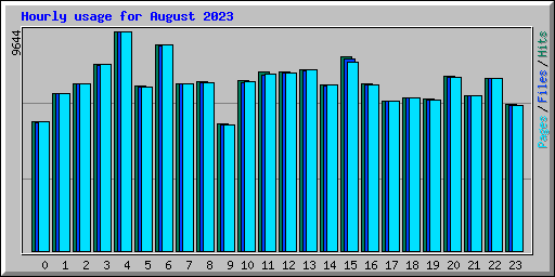 Hourly usage for August 2023