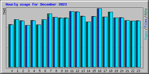 Hourly usage for December 2023