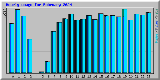 Hourly usage for February 2024