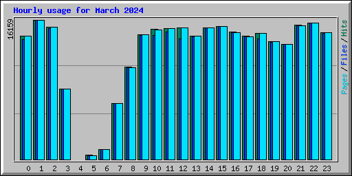 Hourly usage for March 2024