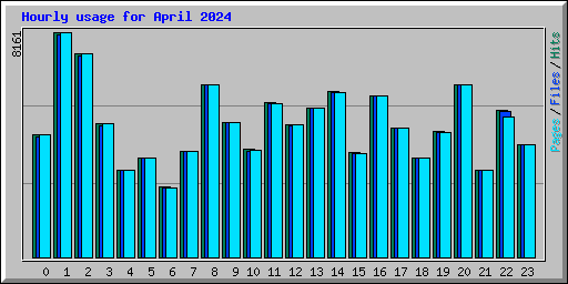 Hourly usage for April 2024