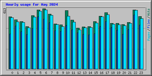 Hourly usage for May 2024