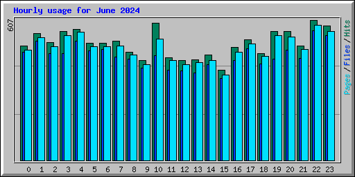 Hourly usage for June 2024