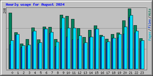 Hourly usage for August 2024