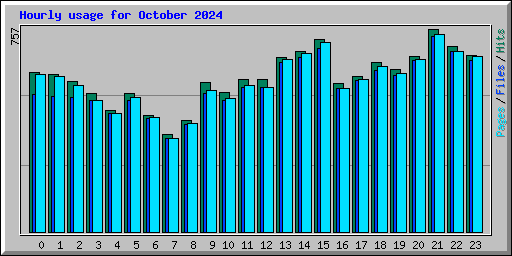 Hourly usage for October 2024