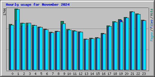 Hourly usage for November 2024