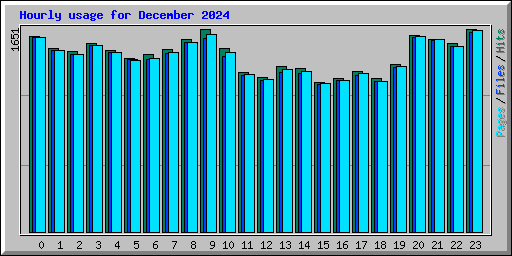 Hourly usage for December 2024