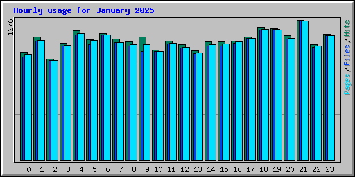 Hourly usage for January 2025