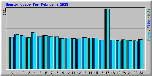Hourly usage for February 2025