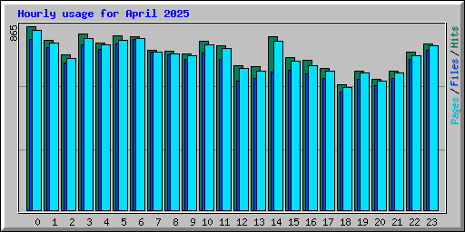 Hourly usage for April 2025