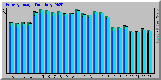 Hourly usage for July 2025