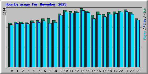 Hourly usage for November 2025