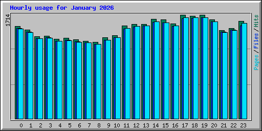Hourly usage for January 2026